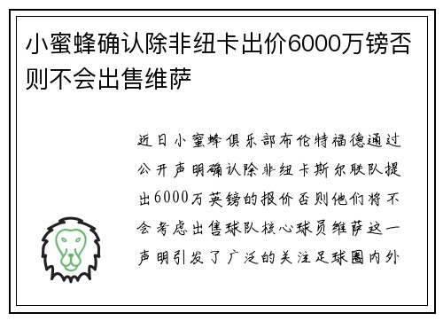 小蜜蜂确认除非纽卡出价6000万镑否则不会出售维萨