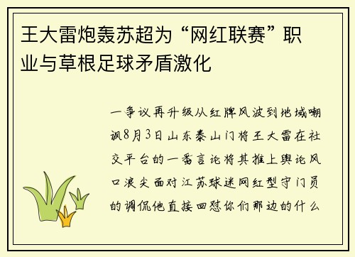 王大雷炮轰苏超为 “网红联赛” 职业与草根足球矛盾激化